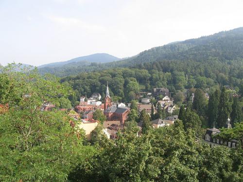 39.-Badenweiler-v-Ruine03