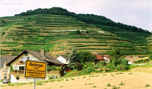 6.-Oberbergen Kaiserstuhl 2004
